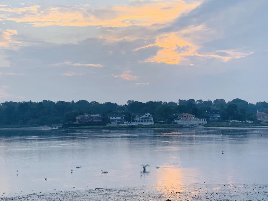 IMG_8186.jpg?type=w966