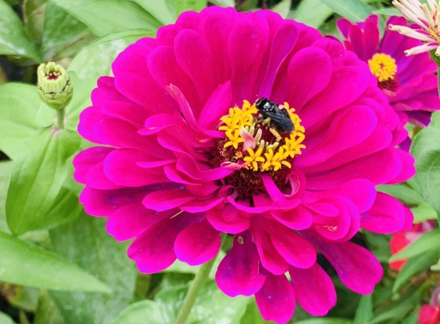 IMG_1170.jpg?type=w966