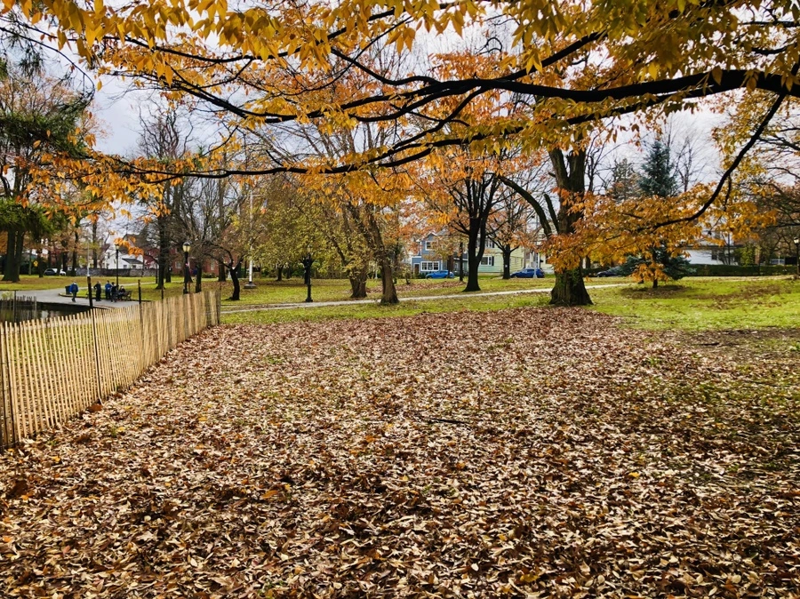 IMG_5448.jpg?type=w966