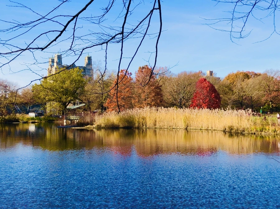 IMG_5309.jpg?type=w966