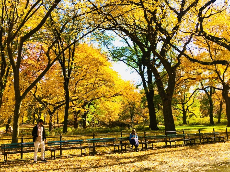 IMG_4305.jpg?type=w966