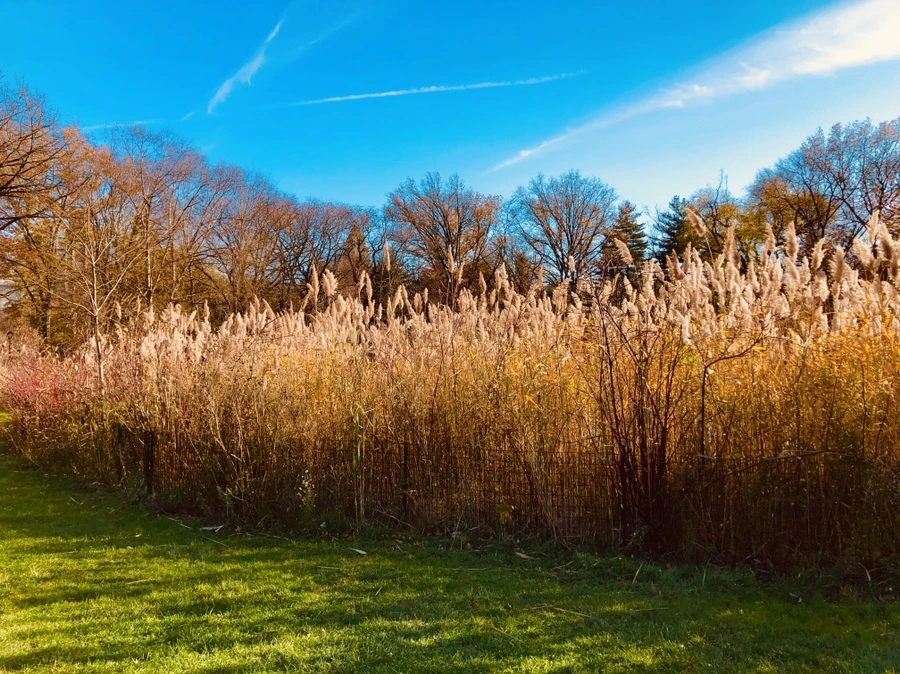 IMG_5320.jpg?type=w966