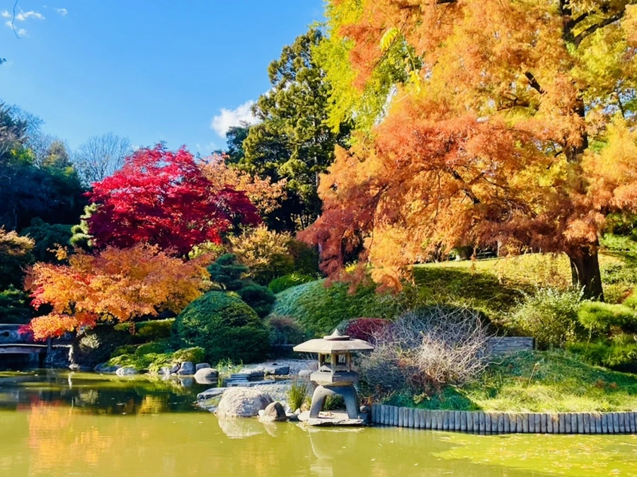 IMG_3045.jpg?type=w966