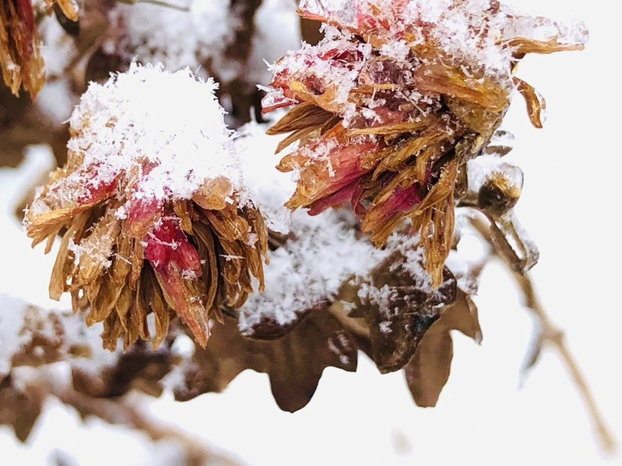 9jQVshaZO9c6c0s17Fj46xpefYs