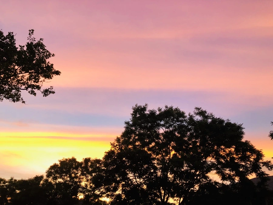 IMG_4565.jpg?type=w966