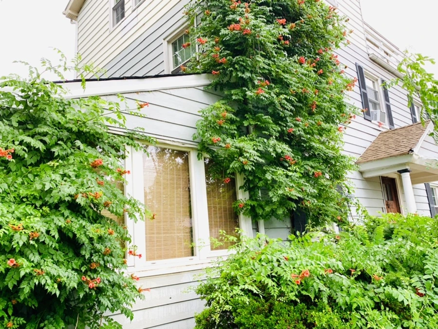 IMG_0020.jpg?type=w966