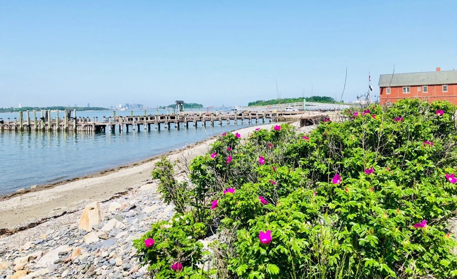 IMG_6694.jpg?type=w966