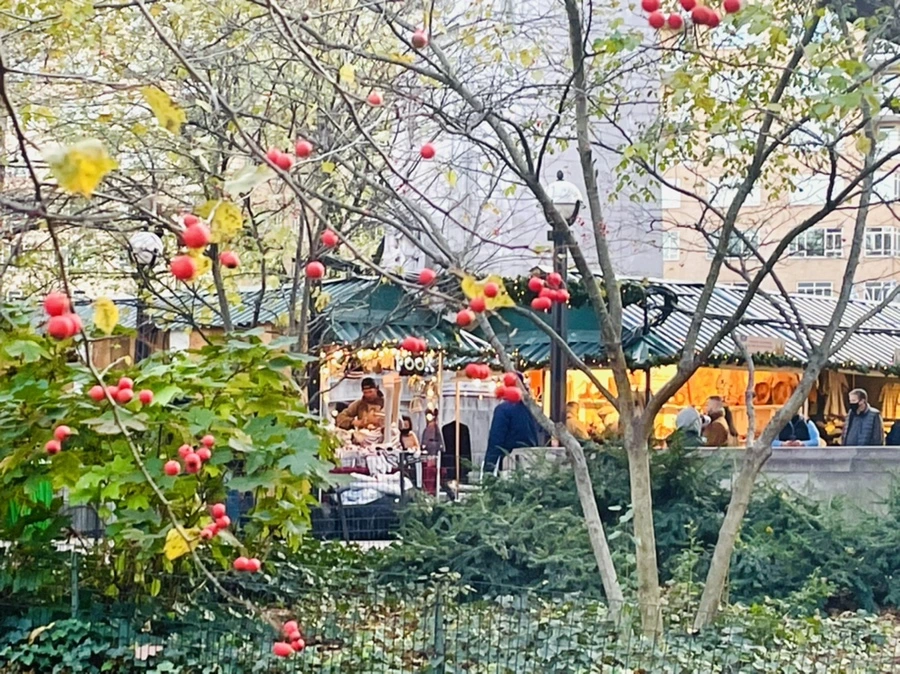 IMG_5634.jpg?type=w966