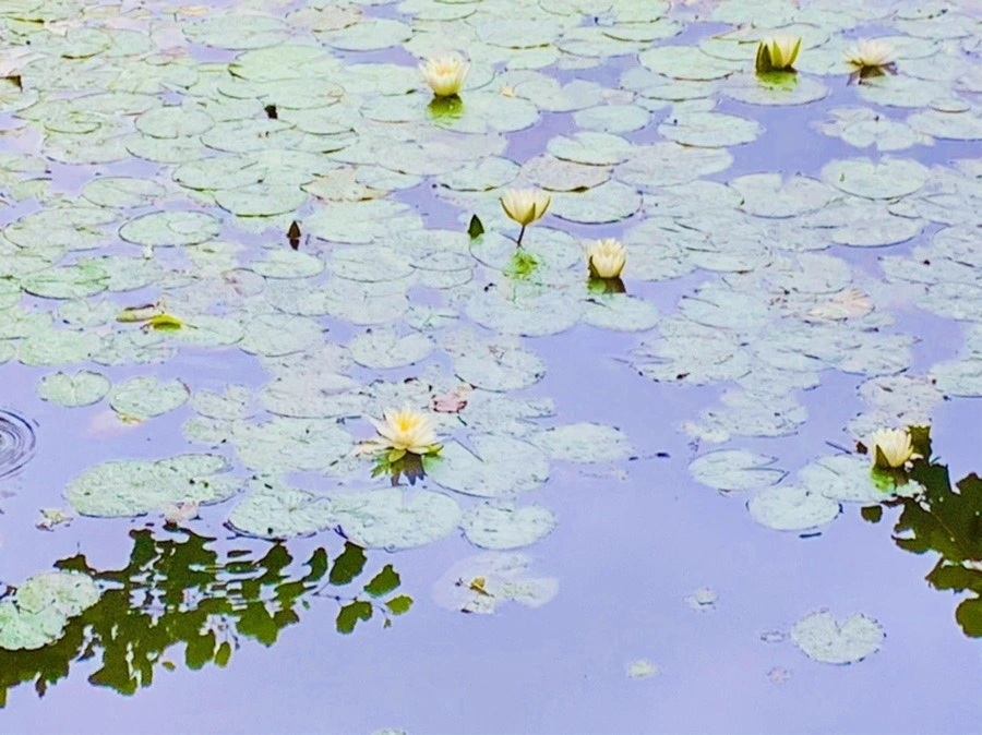 kwGm8NWK0165uTdb0c1AZkuBmt4