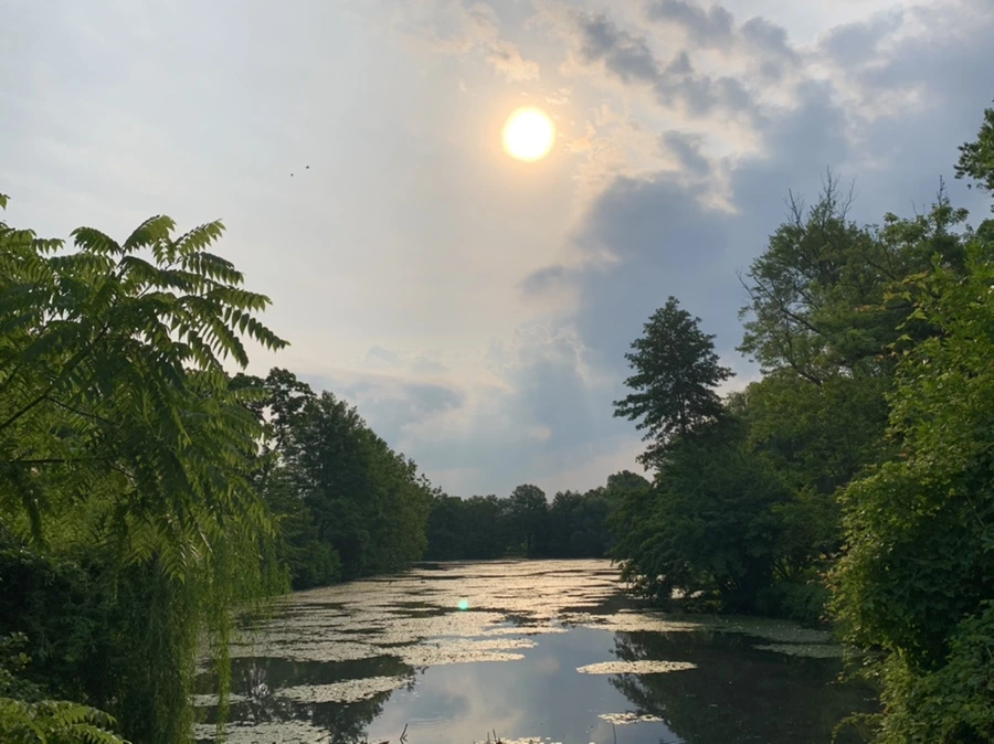 IMG_1633.jpg?type=w966