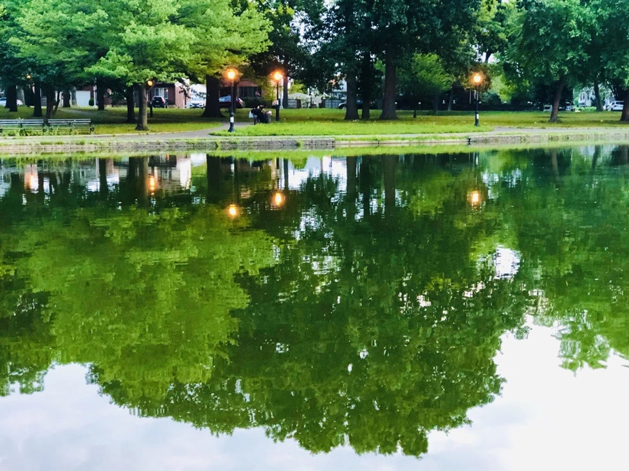 IMG_3612.jpg?type=w966