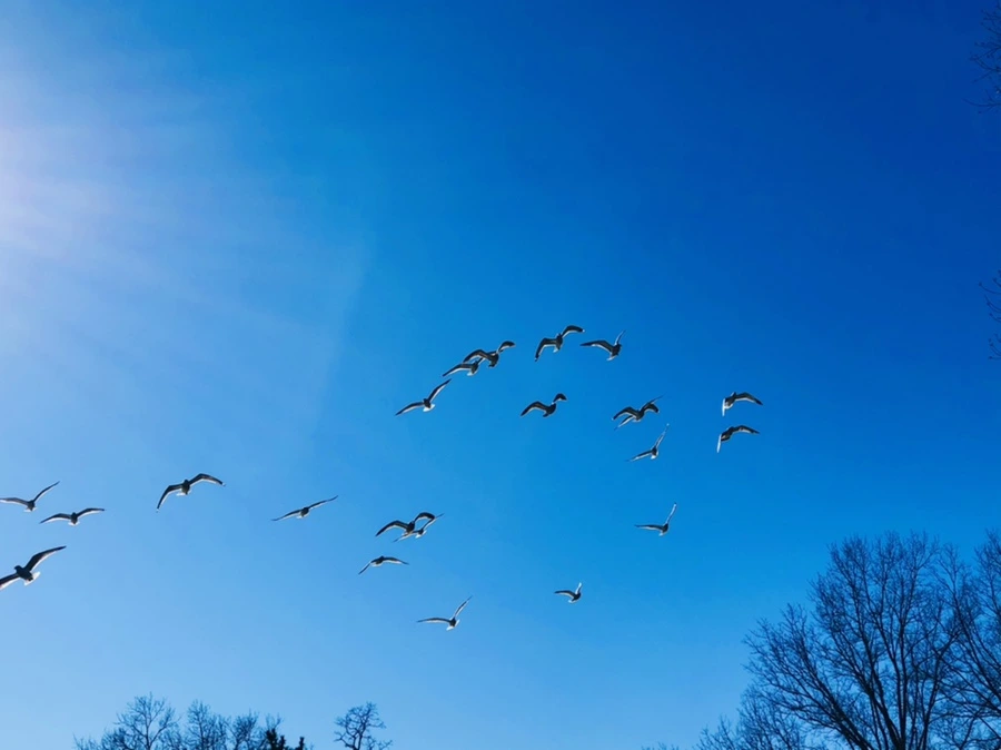 IMG_8104.jpg?type=w966