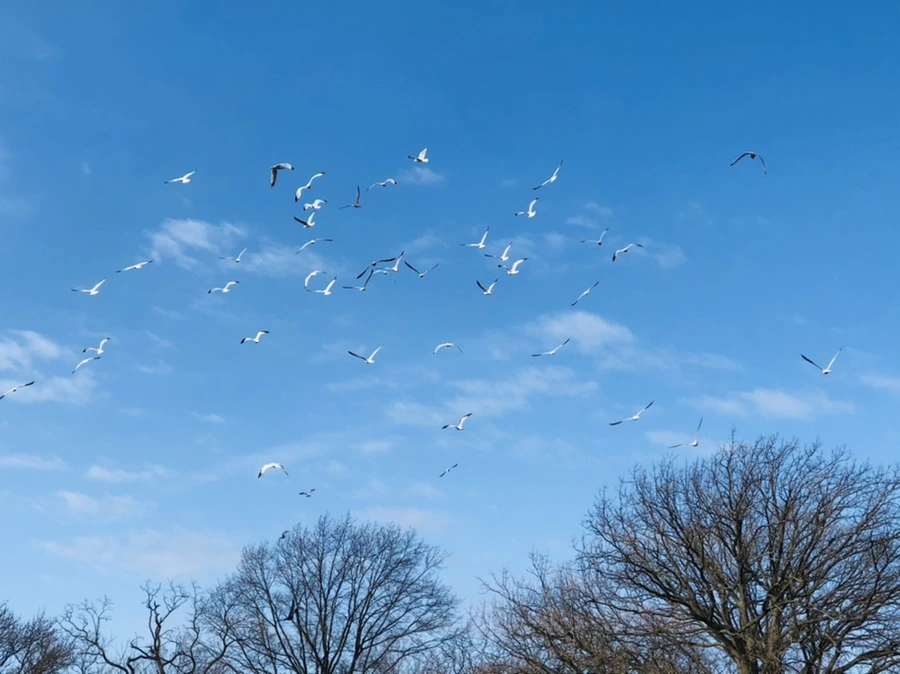 IMG_4714.jpg?type=w966