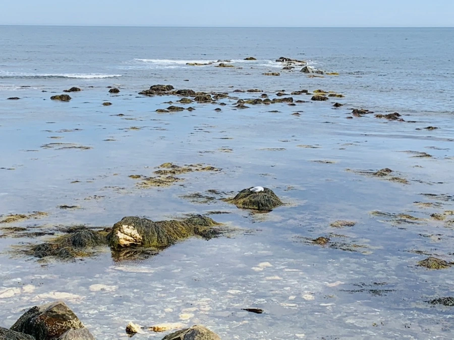 IMG_2781.jpg?type=w966