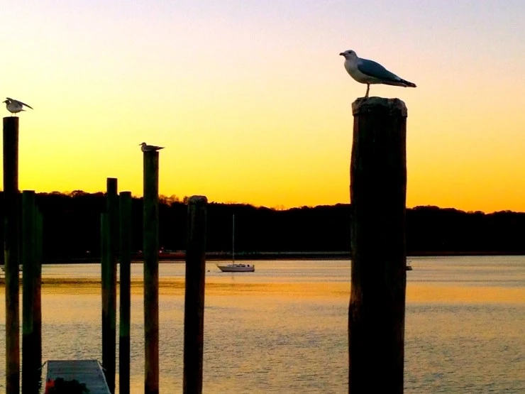 IMG_4393.JPG?type=w1