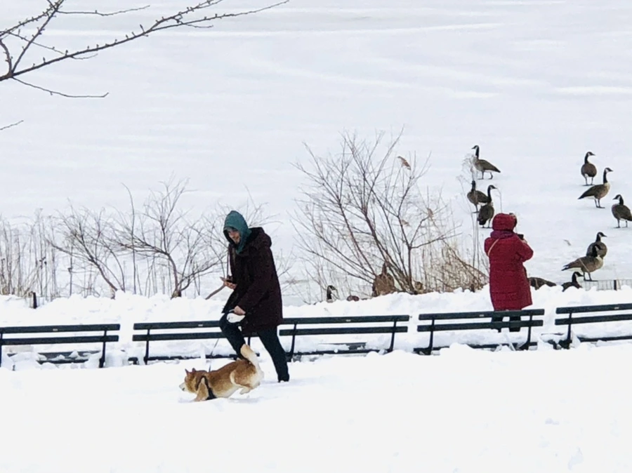 IMG_9507.jpg?type=w966