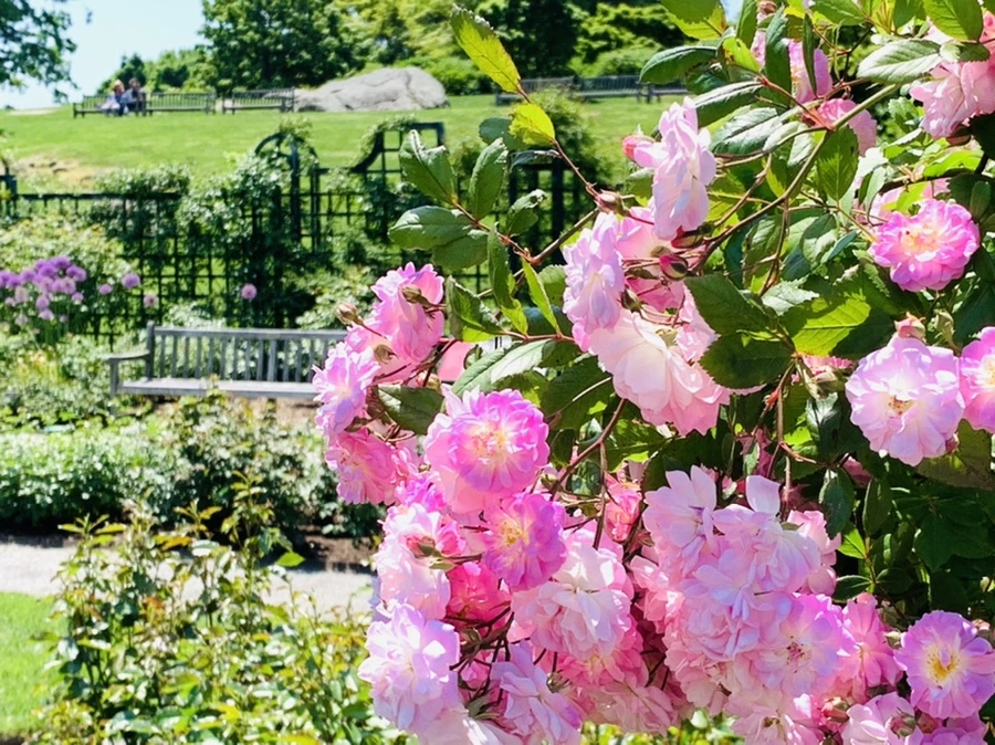 IMG_3833.jpg?type=w966