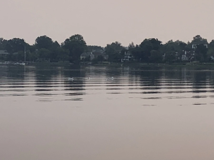 IMG_8237.jpg?type=w966