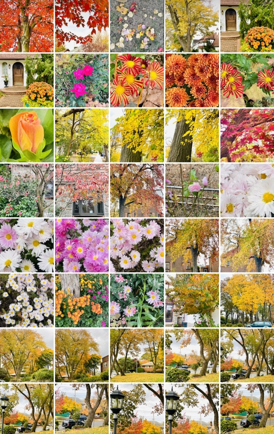 IMG_2515.jpg?type=w966