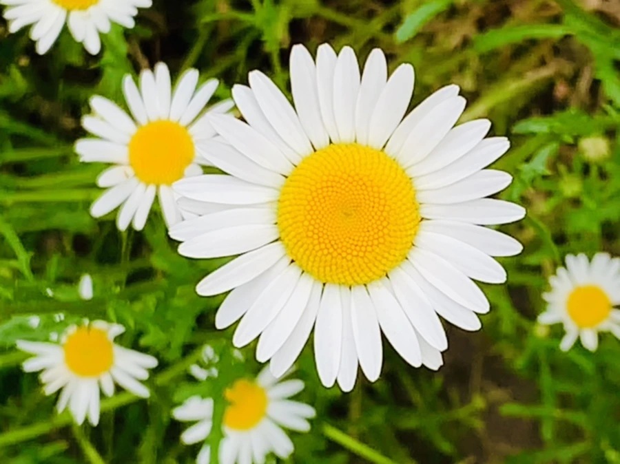 IMG_4892.jpg?type=w966