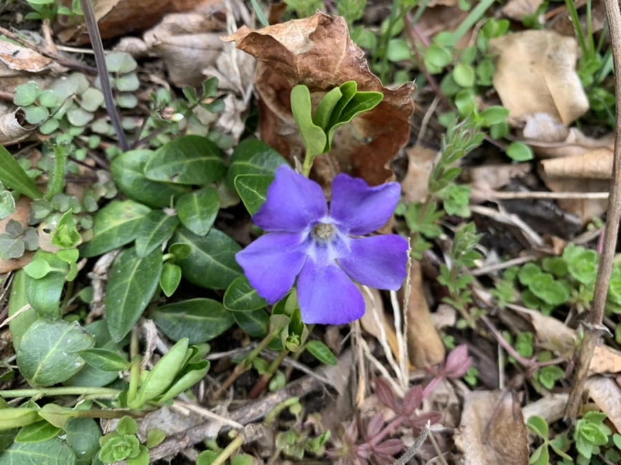 IMG_3702.jpg?type=w966