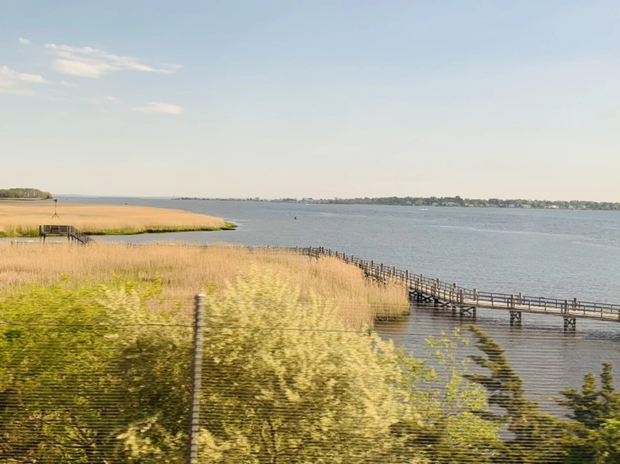 IMG_3196.jpg?type=w966