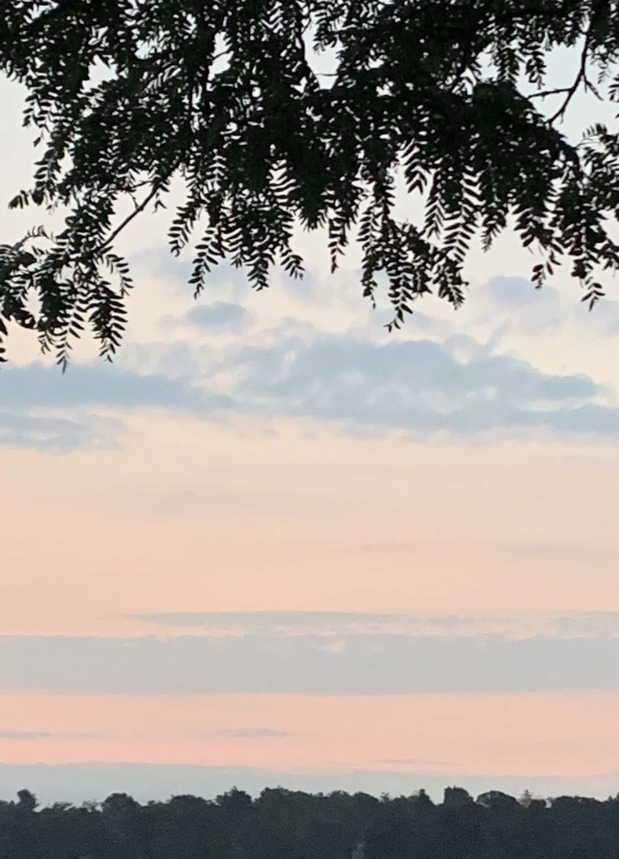 IMG_9509.jpg?type=w966