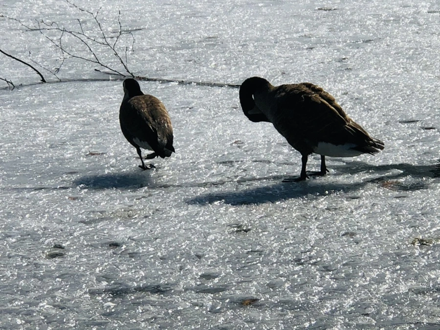 IMG_5395.jpg?type=w966