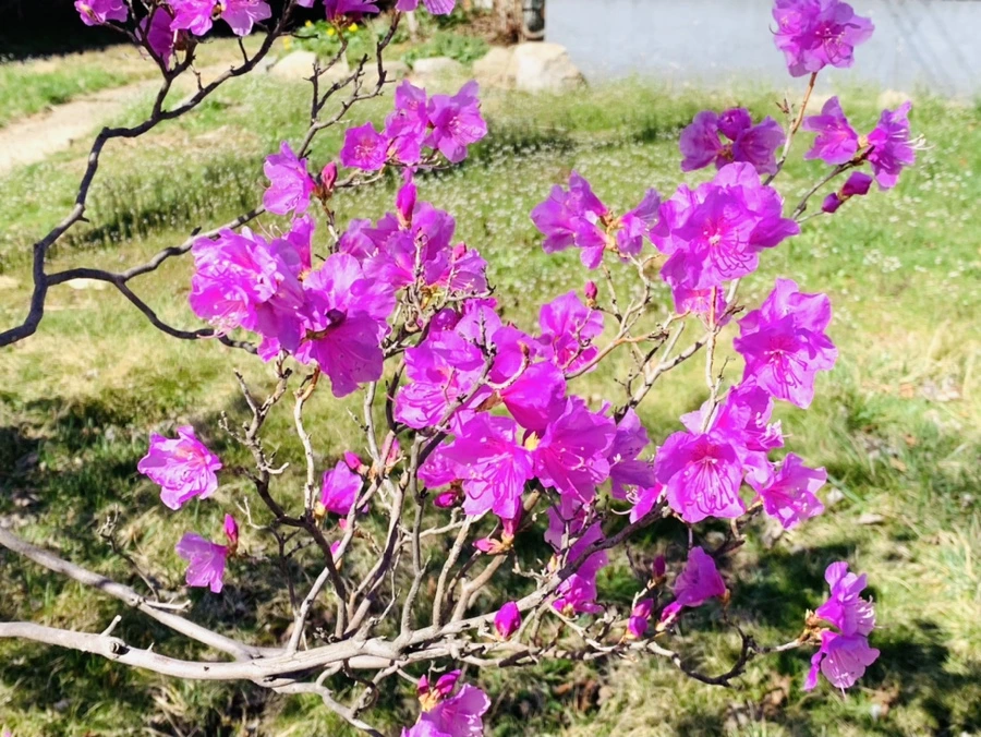 IMG_5507.jpg?type=w966