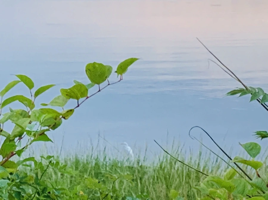 IMG_0511.jpg?type=w966