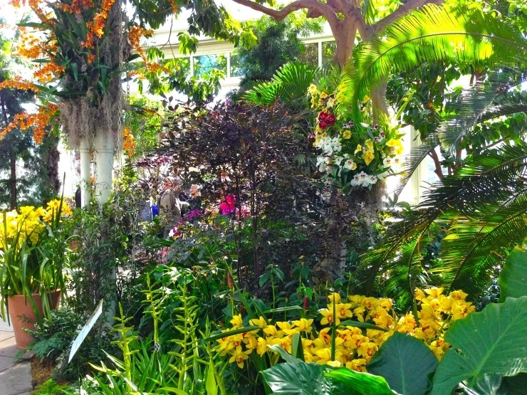 IMG_2939.JPG?type=w2