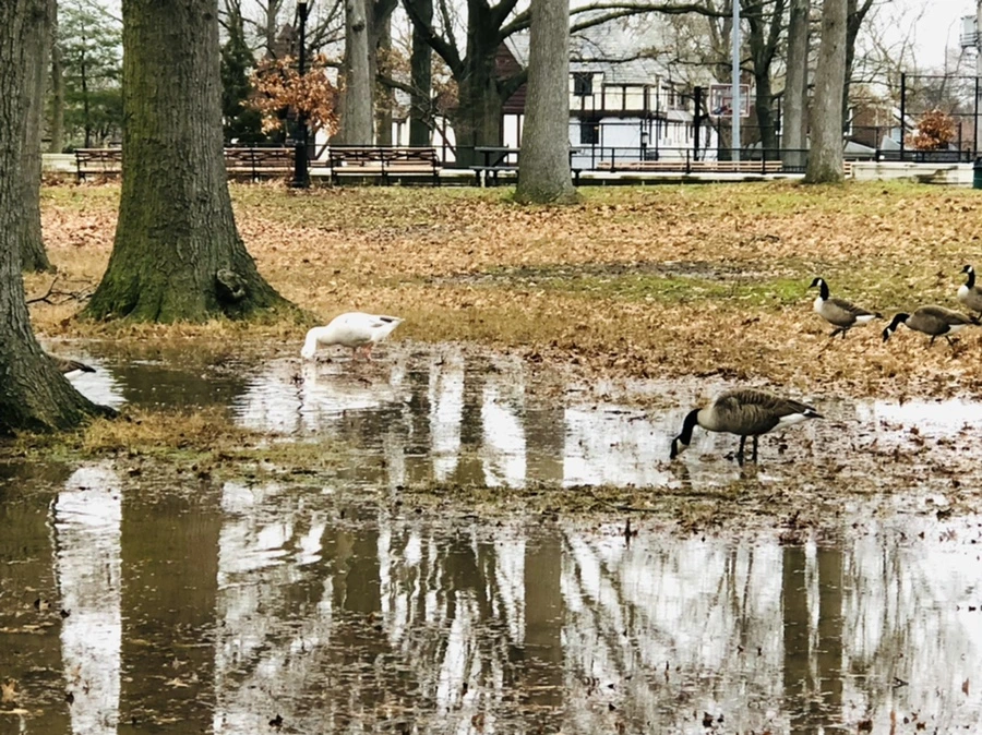 IMG_9662.jpg?type=w966