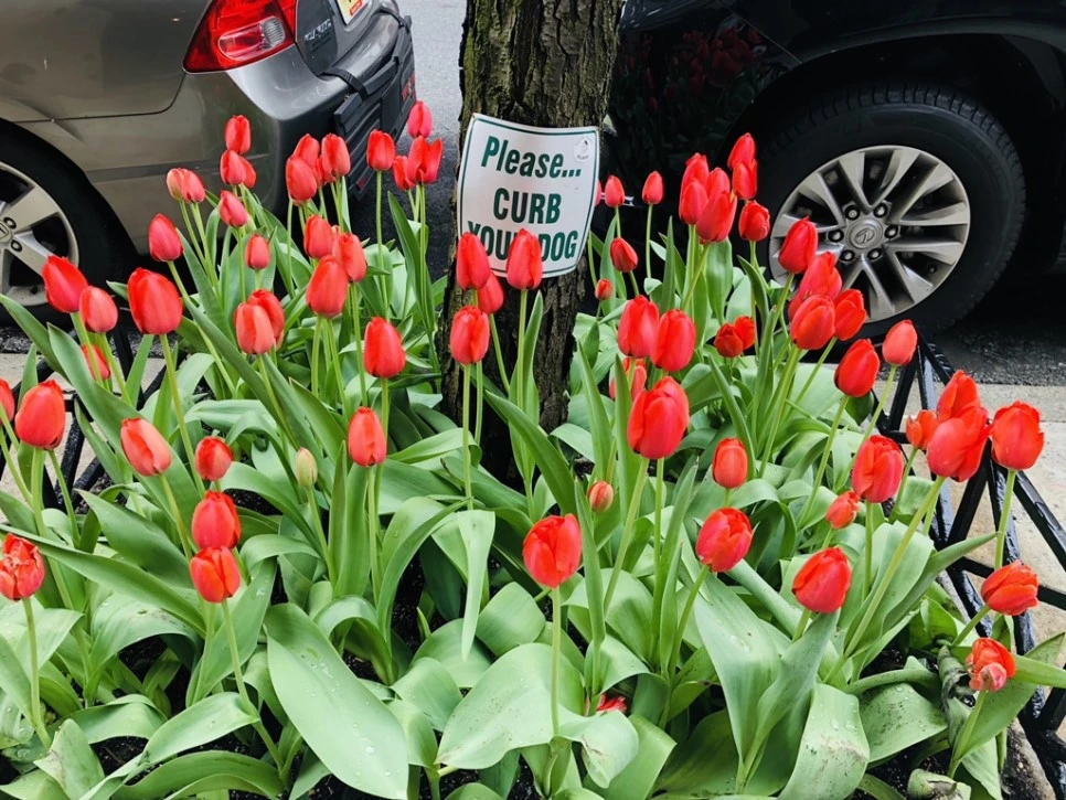 IMG_3254.jpg?type=w966