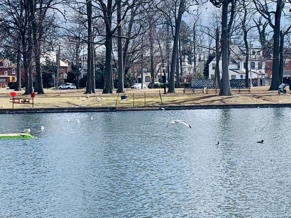 IMG_7224.jpg?type=w966