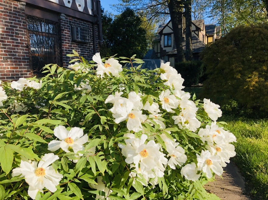 IMG_7201.jpg?type=w966