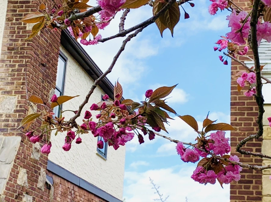 IMG_4382.jpg?type=w966