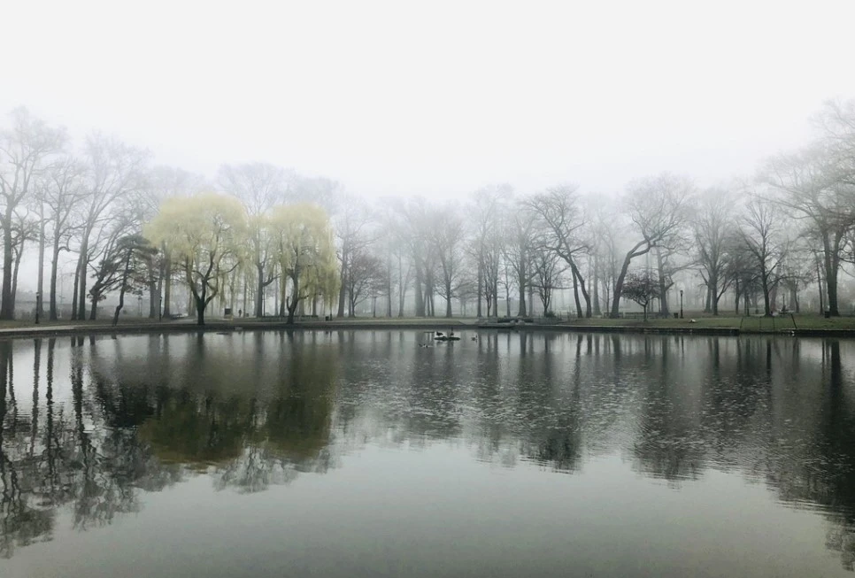 IMG_2918.jpg?type=w966