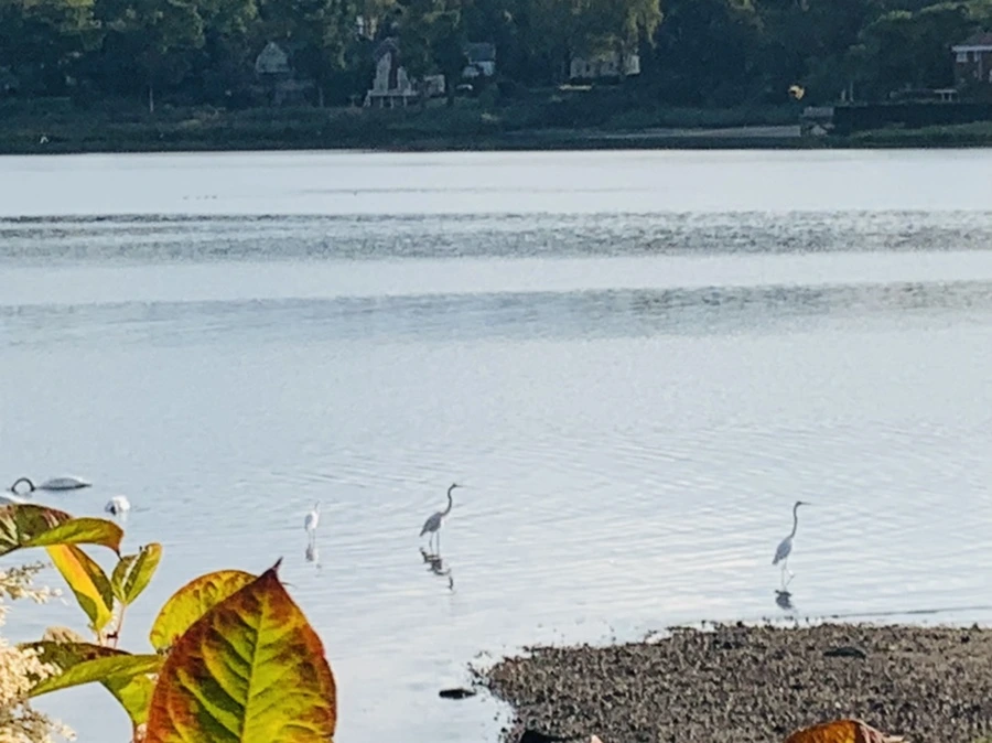 IMG_7801.jpg?type=w966