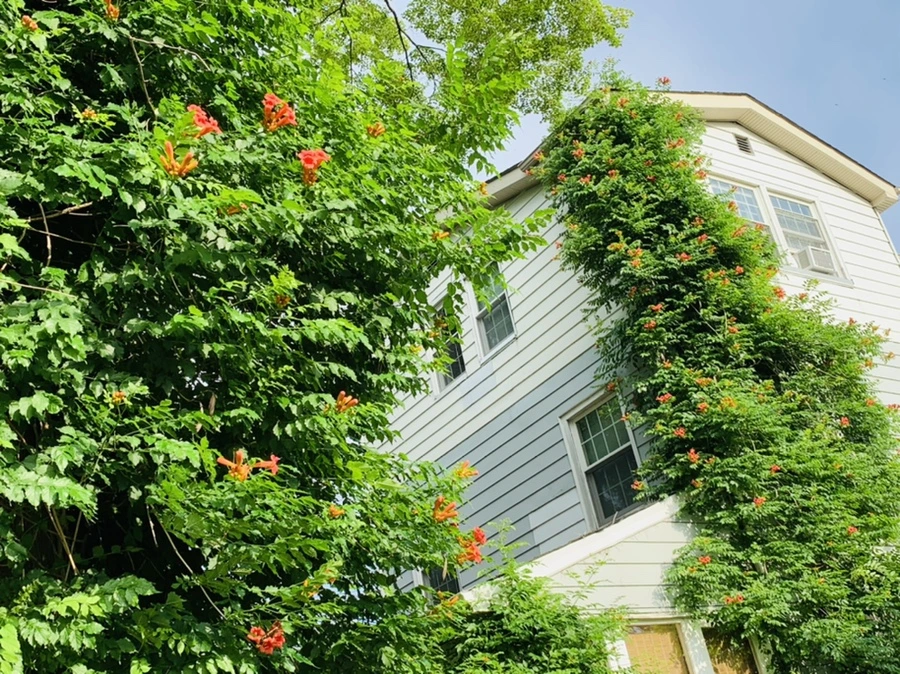 IMG_5723.jpg?type=w966