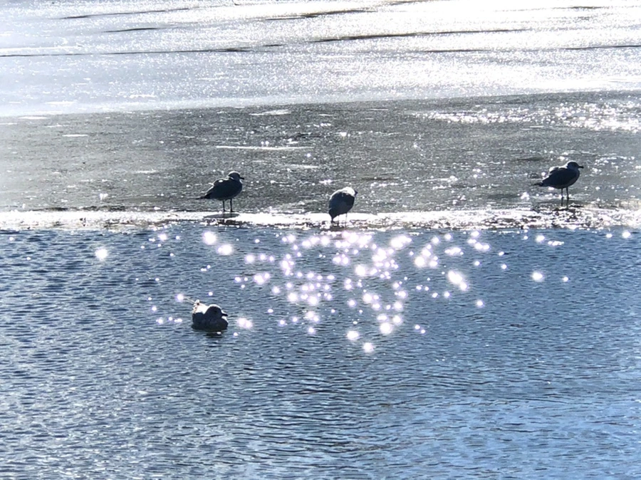 IMG_6801.jpg?type=w966