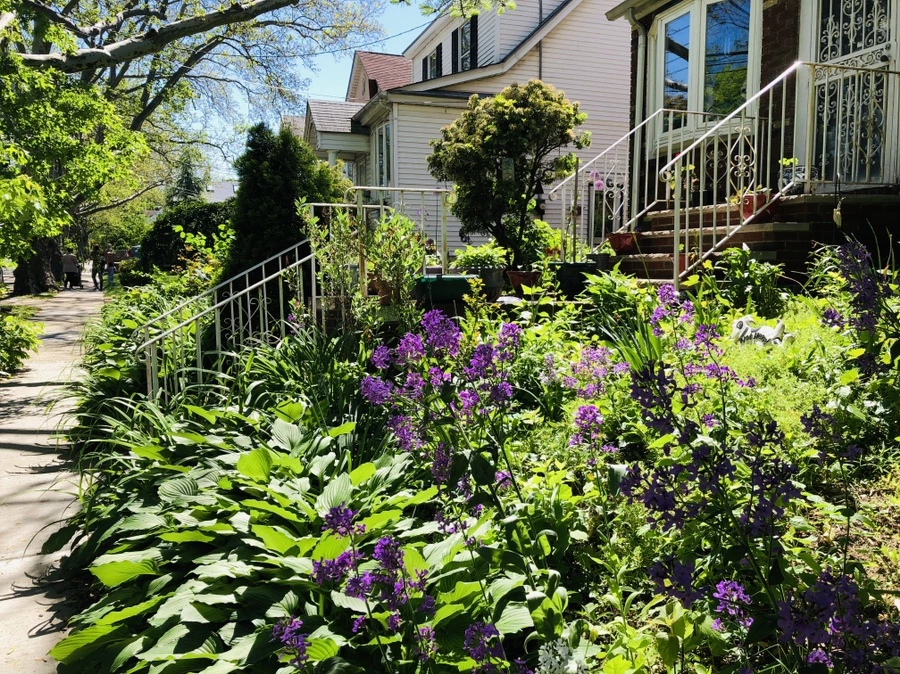 IMG_4878.jpg?type=w966