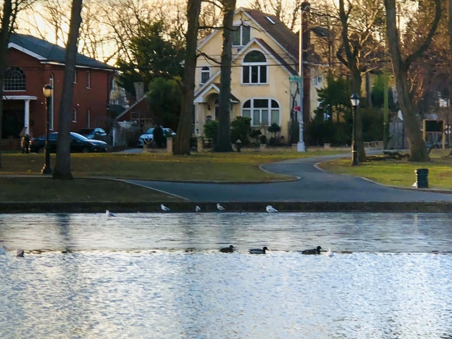 IMG_0810.jpg?type=w966