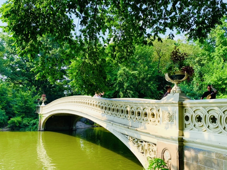 IMG_1741.jpg?type=w966