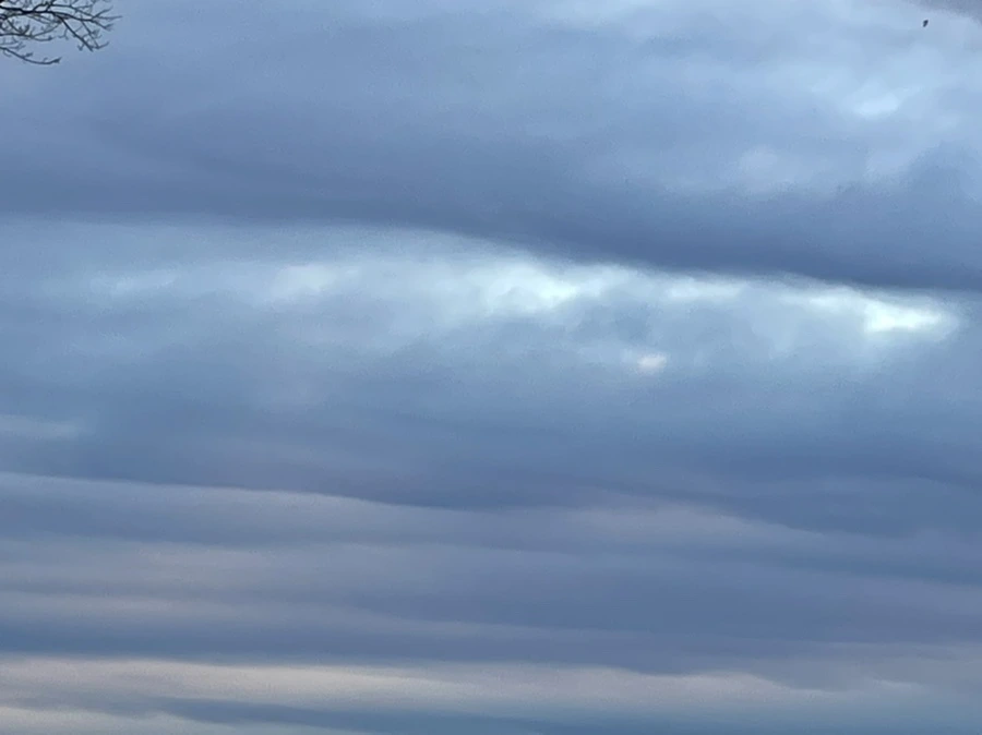 IMG_6626.jpg?type=w966