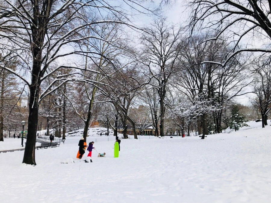 IMG_3475.jpg?type=w966