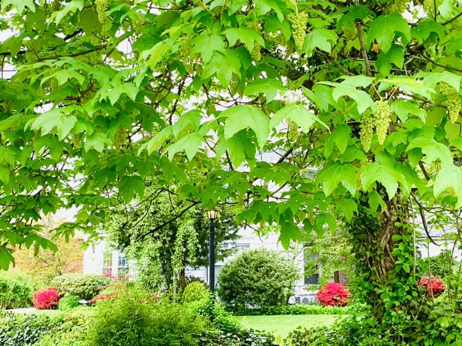 IMG_0860.jpg?type=w966