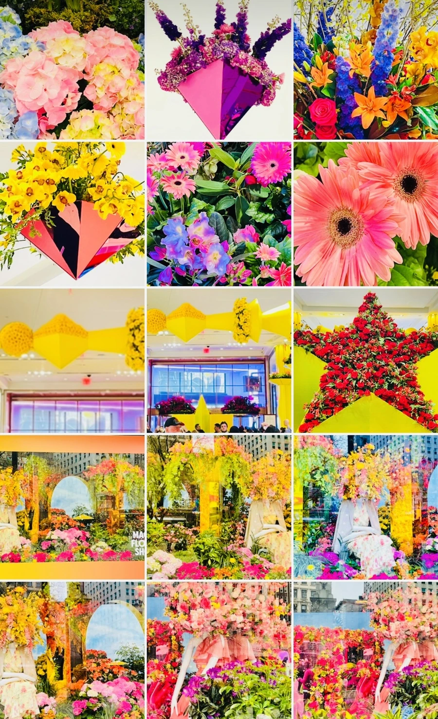 IMG_7700.jpg?type=w966