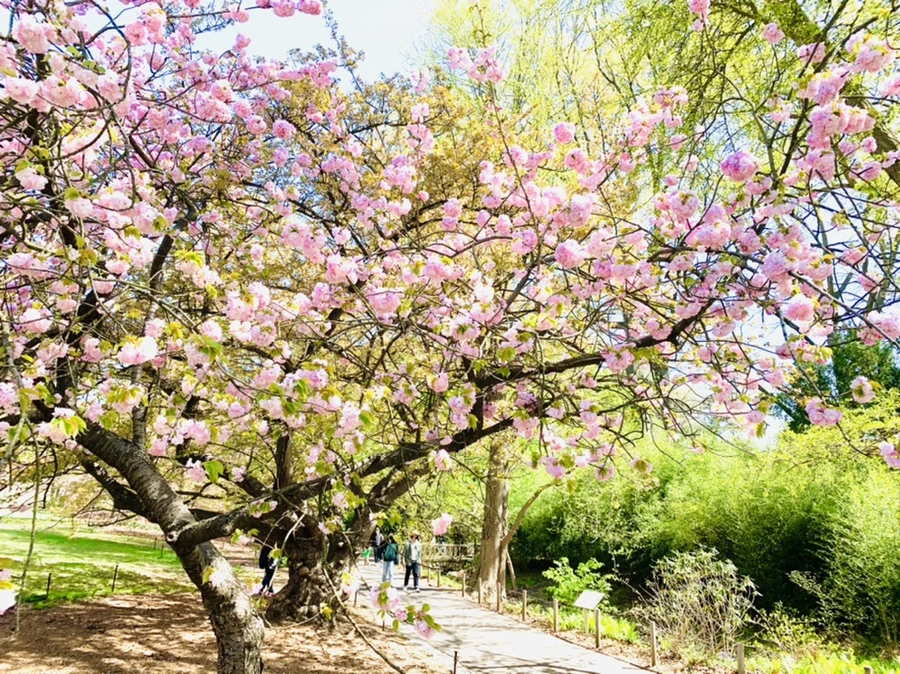 IMG_4667.jpg?type=w966