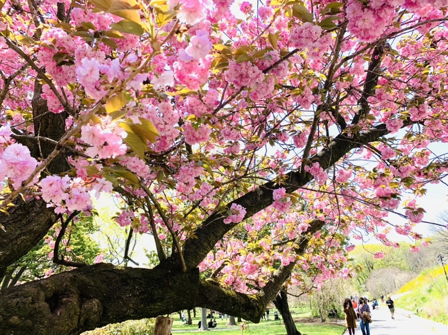 IMG_6496.jpg?type=w966