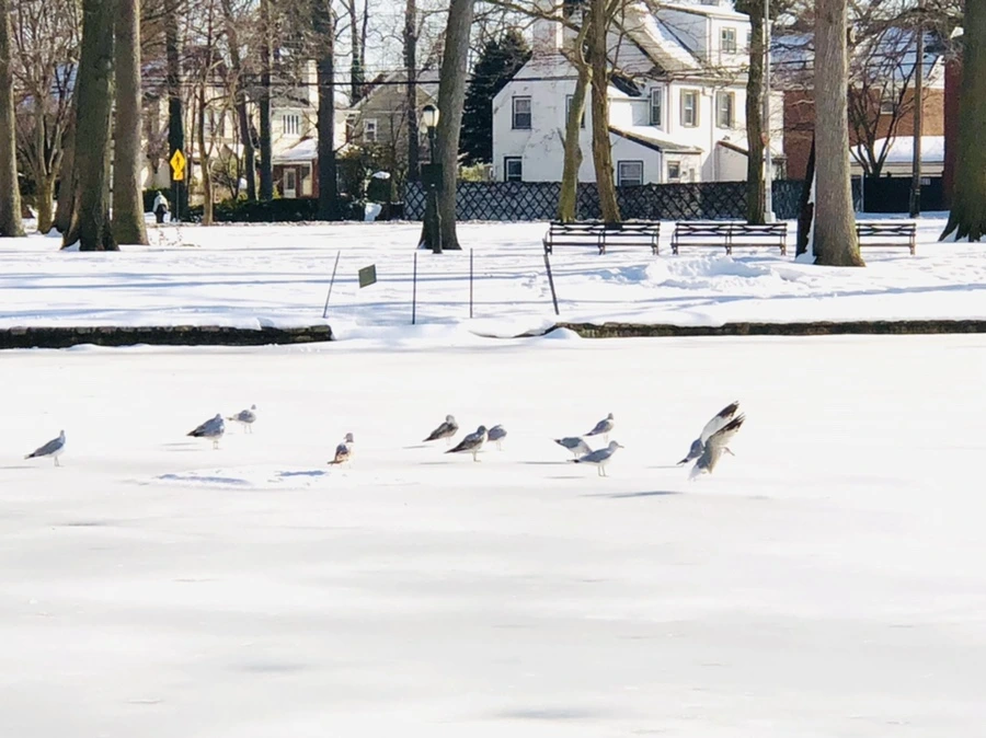 IMG_0327.jpg?type=w966